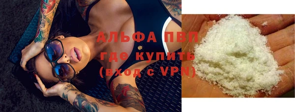 шишки Заволжск
