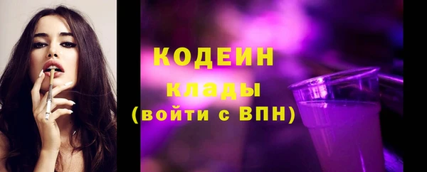 шишки Заволжск