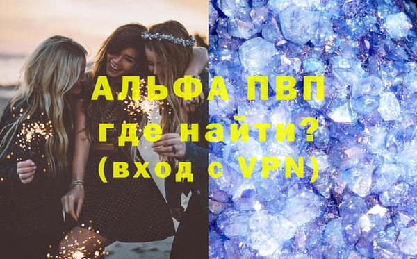 PSILOCYBIN Заволжье