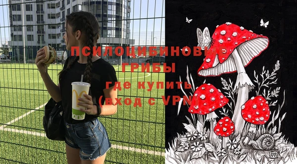 ПСИЛОЦИБИНОВЫЕ ГРИБЫ Зерноград