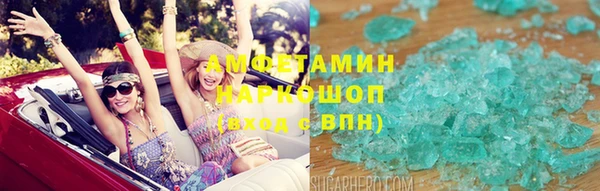 шишки Заволжск