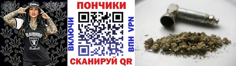 Купить закладки  Мегион  Бошки марихуана индика 